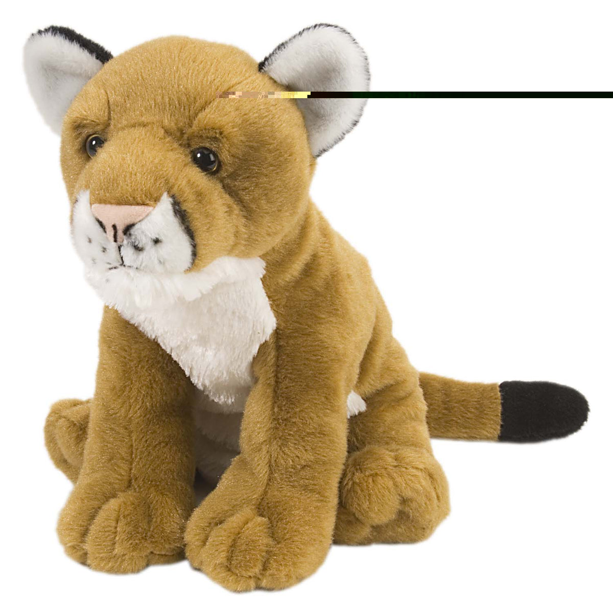 CK Mountain Lion - 12"