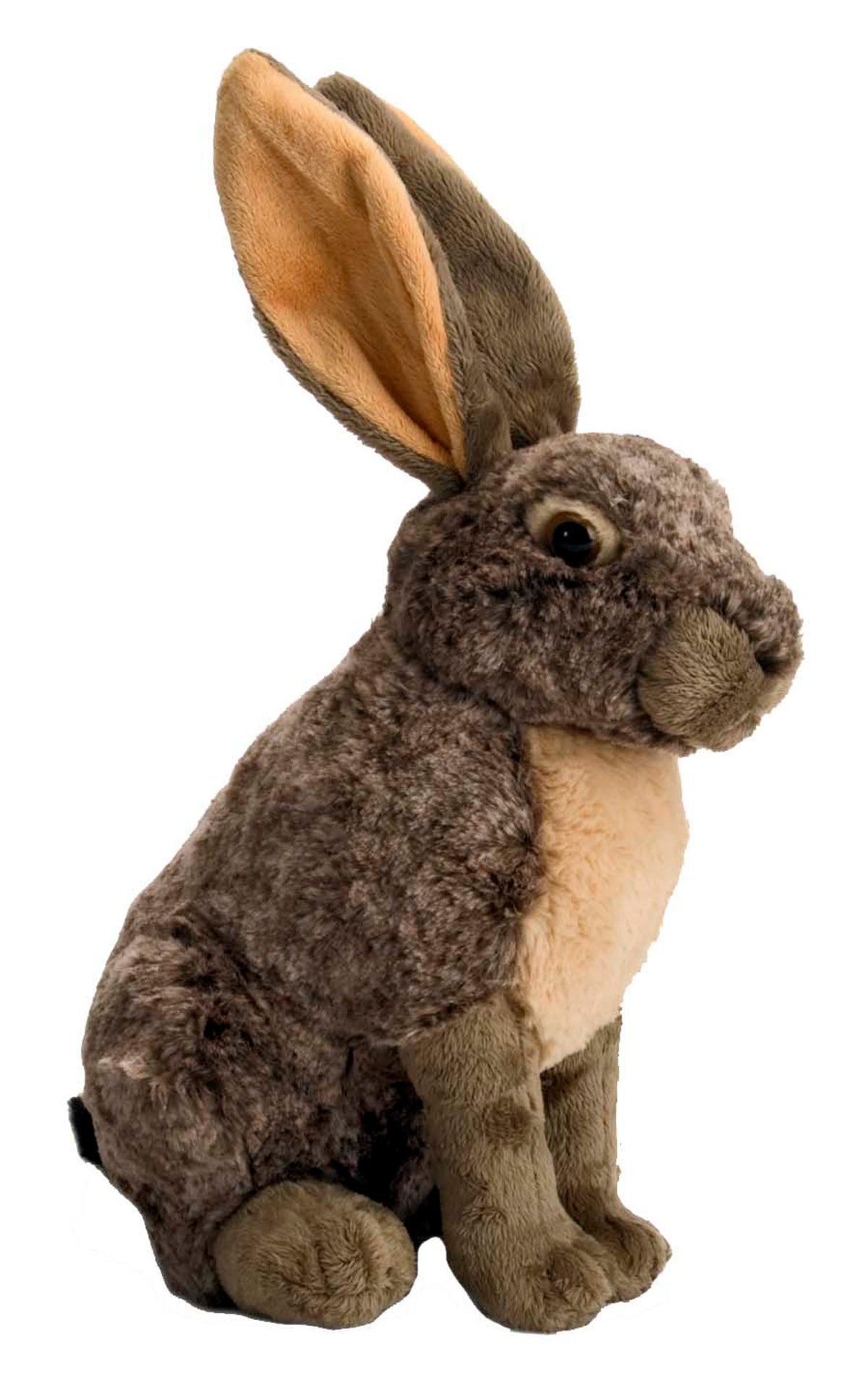 CK Hare - 12"