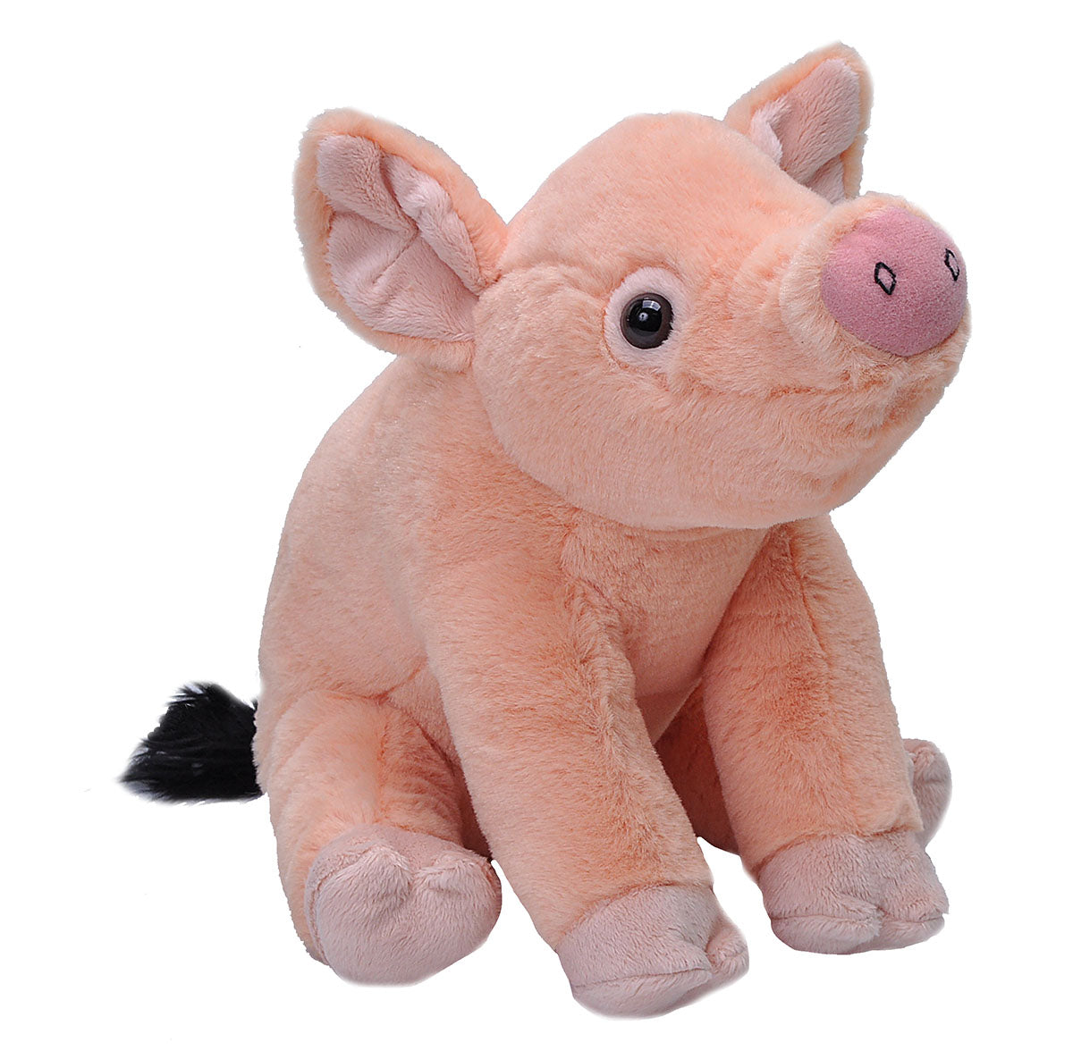 CK Pig Baby - 12"