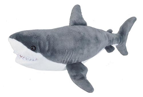 CK Great White Shark - 12"