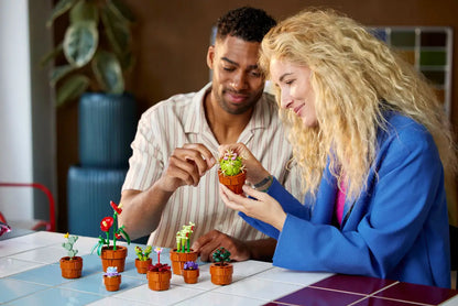 LEGO® Botanicals Tiny Plants (10329)