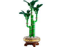 LEGO® Botanicals Lucky Bamboo (10344)