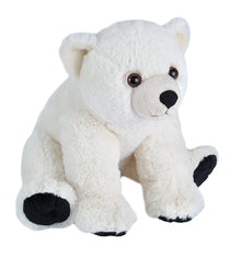 Ck Bear Polar Baby - 12"