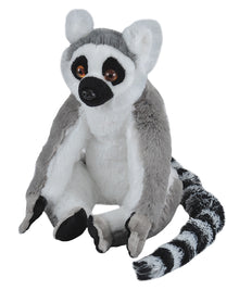 CK Ring Tailed Lemur - 12"