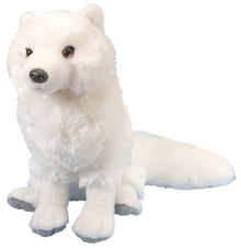 CK Arctic Fox - 12"