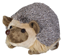CK African Hedgehog - 12"