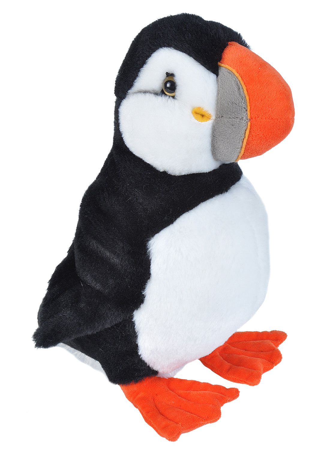 CK Puffin  12"