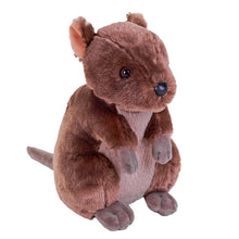 CK Quokka - 12"
