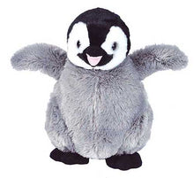 CK Penguin Playful - 12"