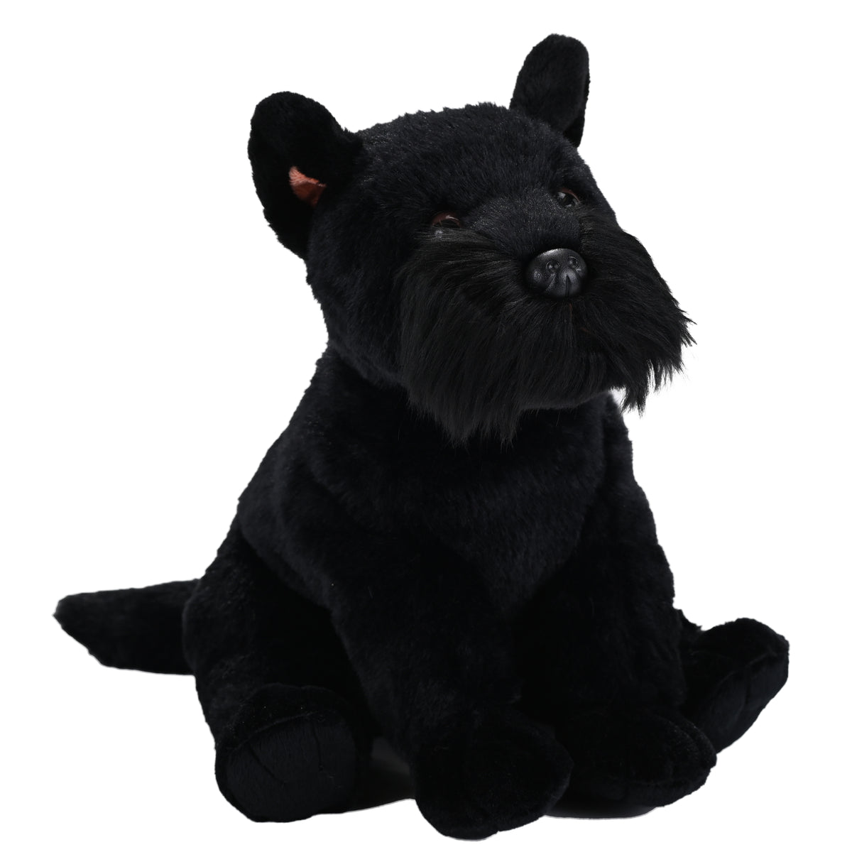 CK Scottish Terrier -12"