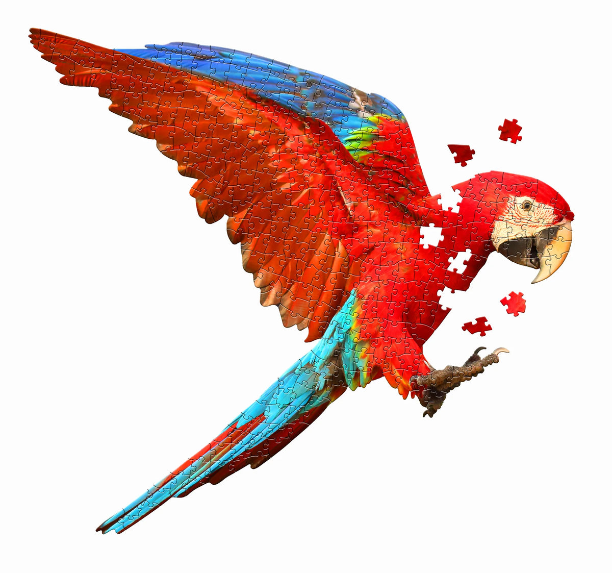 I am Parrot 300pc