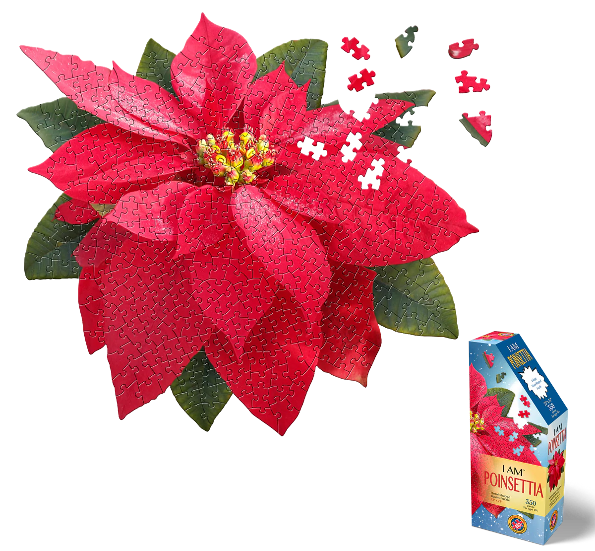 I am Poinsettia 350pc