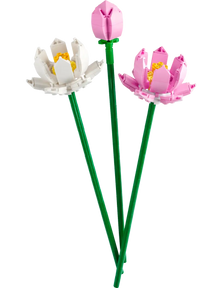 Lotus Flowers Botanicals (40647)