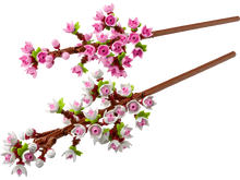 Cherry Blossoms Botanicals (40725)