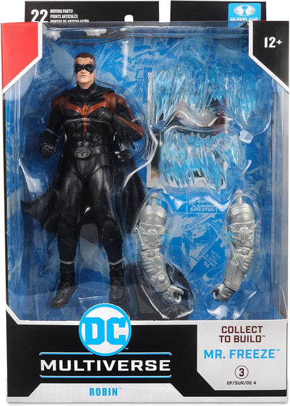 DC Multiverse Batman and Robin Robin