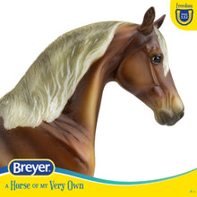 Silver Bay Morab (Discontinued)