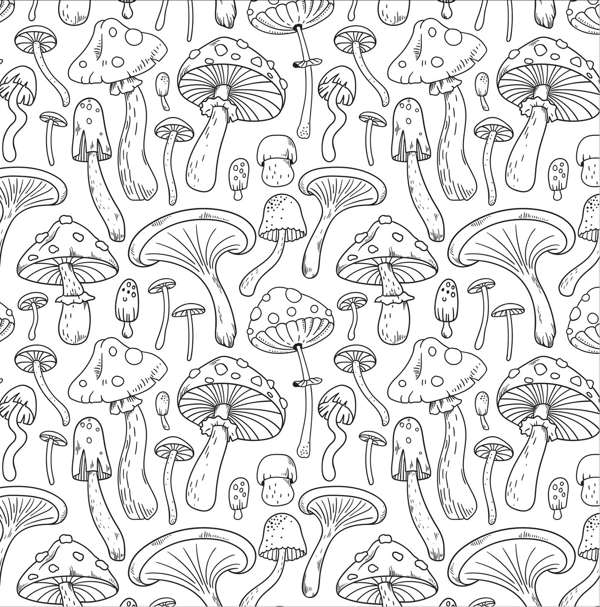 Mushrooms Adult Coloring Book