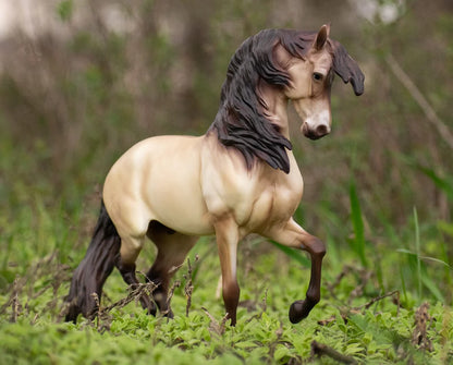Cossaco Lusitano