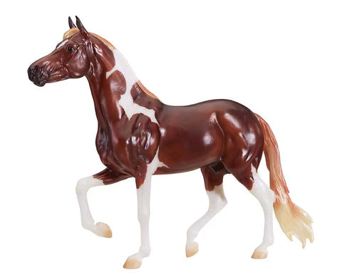 Enzo - Mangalarga Marchador (Discontinued)