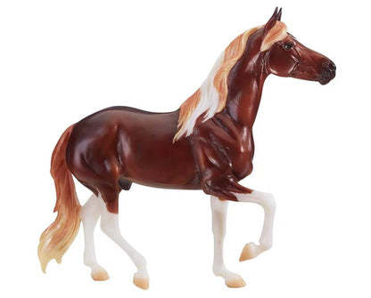 Enzo - Mangalarga Marchador (Discontinued)