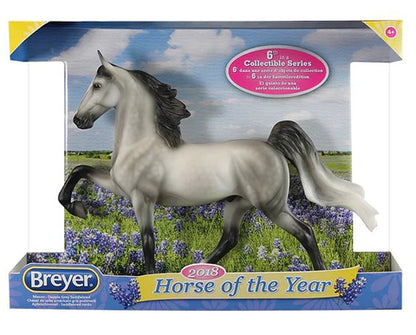 *Mason, 2018 Horse of the Year