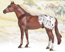*Ideal Series - Appaloosa