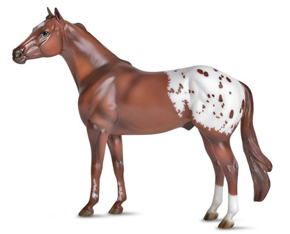 *Ideal Series - Appaloosa