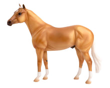 Ideal Series - Palomino (Discontinued)