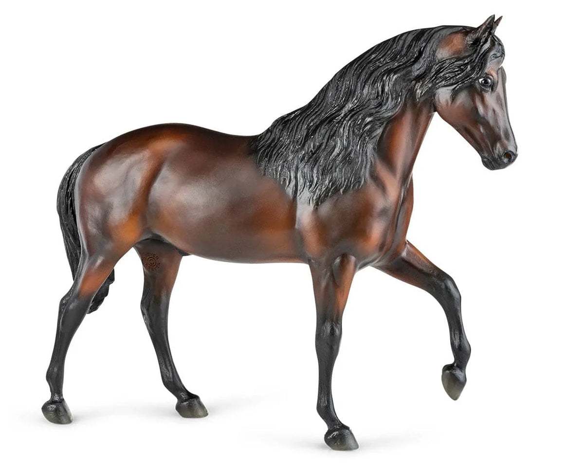 Vivaldi de Besilu - Champion Paso Fino