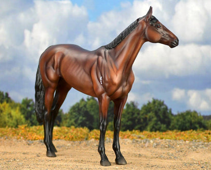 Winx (Discontinued)